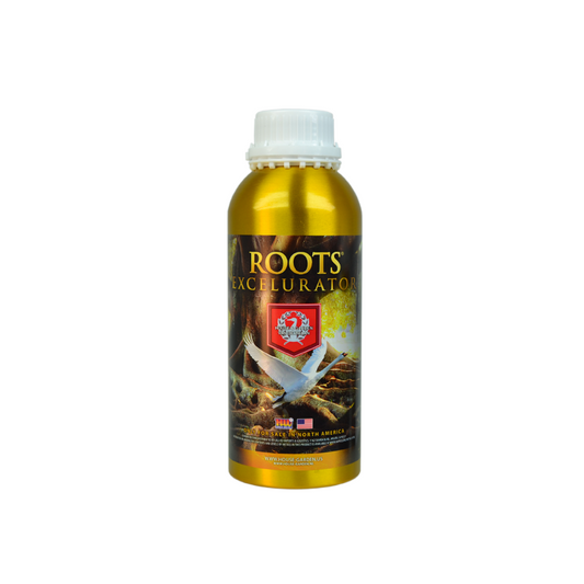 ROOTS GOLD HnG 250 ML