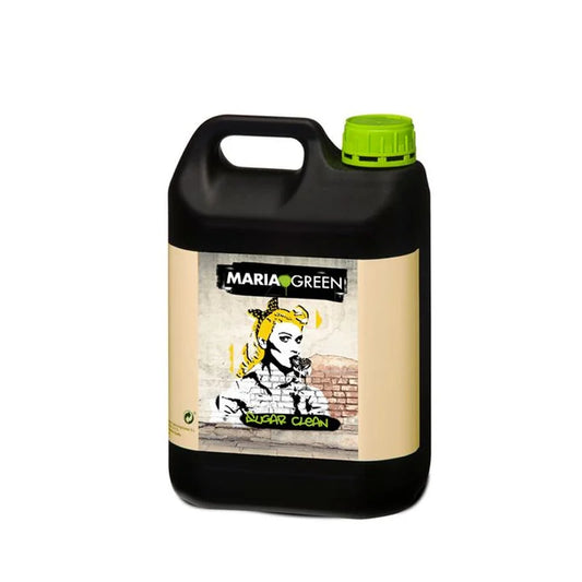 SUGAR CLEAN MARIA GREEN 5L