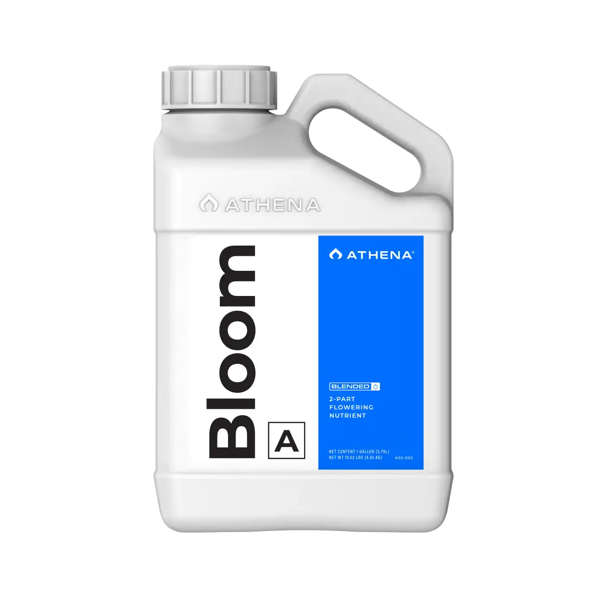 Athena Bloom a 1GAL