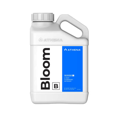 Athena Bloom B 1GAL