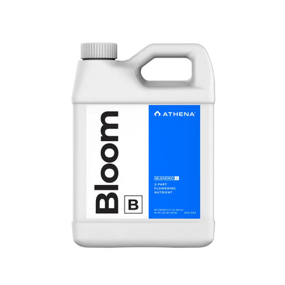 Athena Bloom B 32OZ