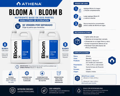 Athena Bloom a 1GAL