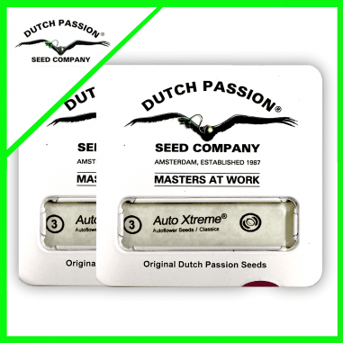 PROMOCION 2X1 XTREME AUTO X3-DUTCH PASSION