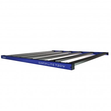QUANTUM LITE 720W-DELIGHT