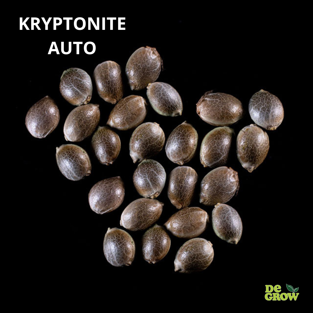 KRYPTONITE AUTO