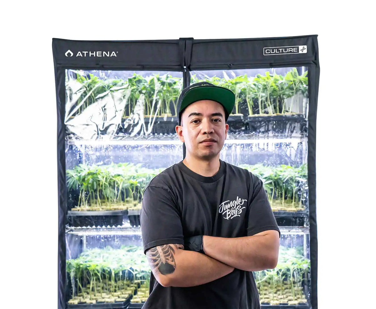 Domo de Propagación VPDome - Athena - vista 4