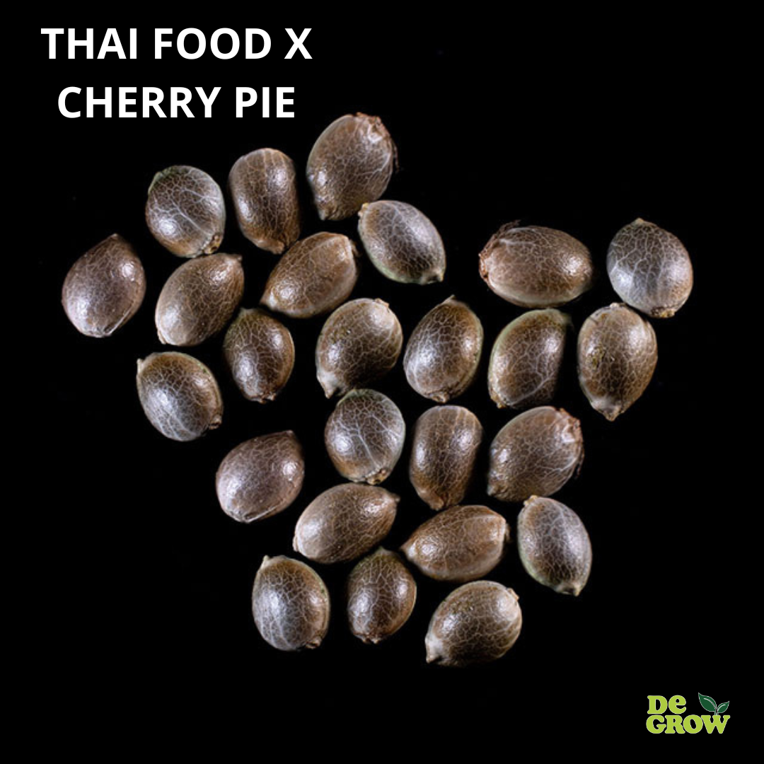 THAI FOOD X CHERRY PIE | DEGROW.CL – degrow.cl