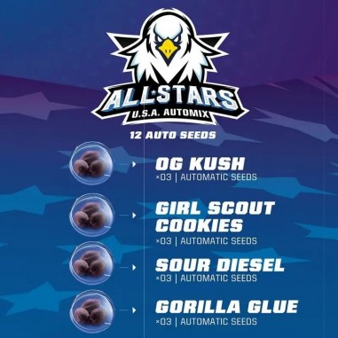 ALL STARS USA MIX AUTO X12 - BSF