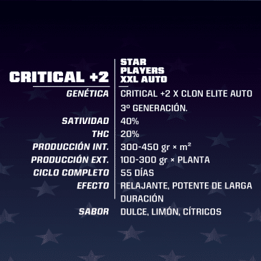 CRITICAL +2 XXL AUTO X4 - BSF