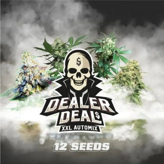 DEALER DEAL XXL AUTO X12 - BSF