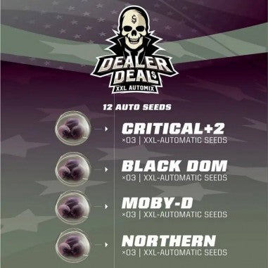 DEALER DEAL XXL AUTO X12 - BSF