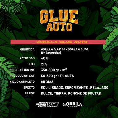 GORILLA GLUE AUTO X4 - BSF