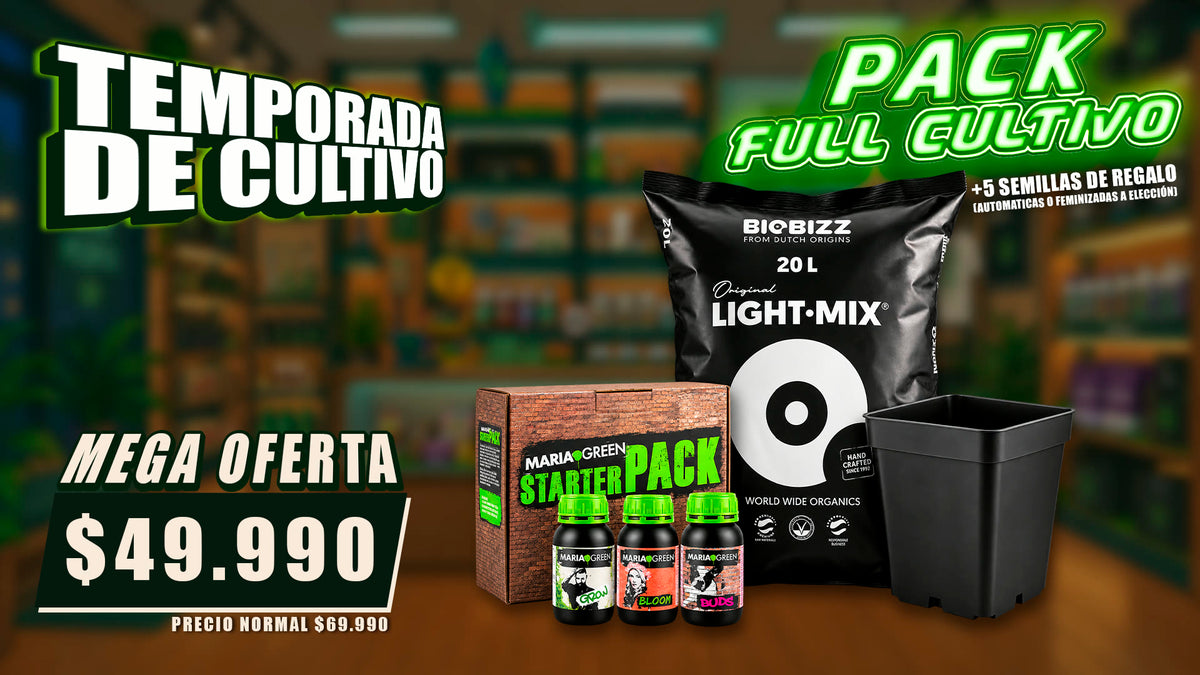 Pack Full Cultivo DeGrow: temporada de cultivo, mega oferta a $49.990 con 5 semillas de regalo