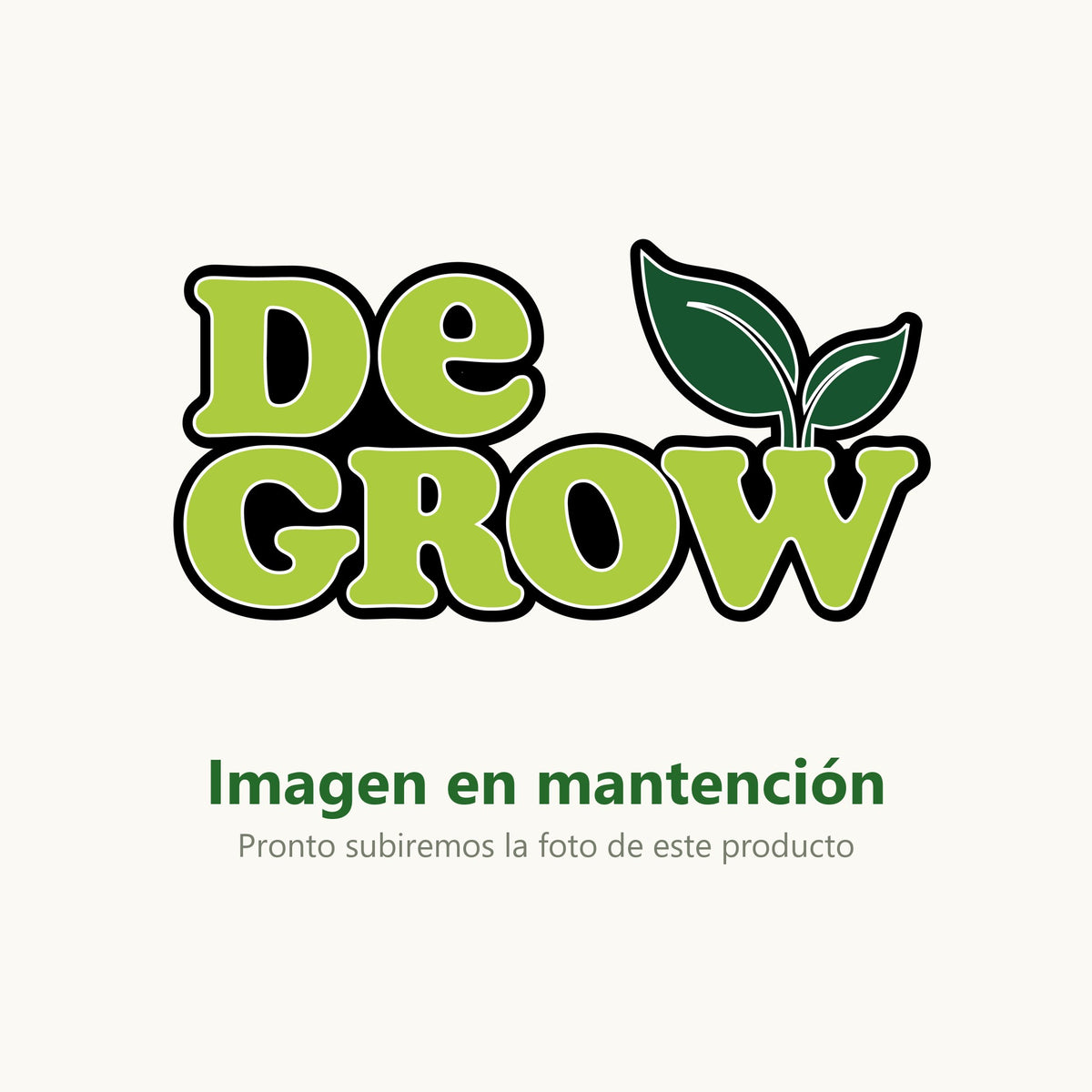 Imagen en mantención