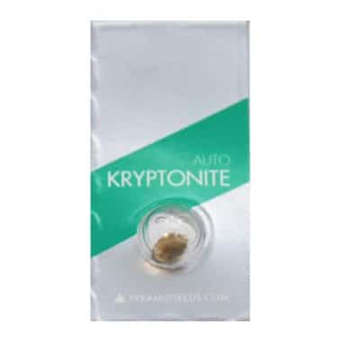 KRYPTONITE AUTO X1 - PYRAMID SEEDS