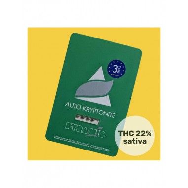 KRYPTONITE AUTO X50 - PYRAMID SEEDS