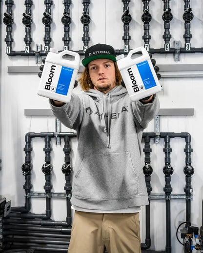 Athena Bloom B 32OZ