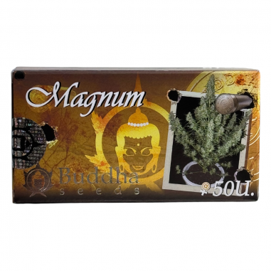 MAGNUM AUTO X50 - BUDDHA SEEDS