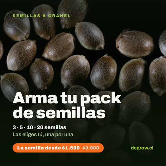 Semillas de cannabis a granel sobre fondo negro — arma tu pack de semillas en Degrow