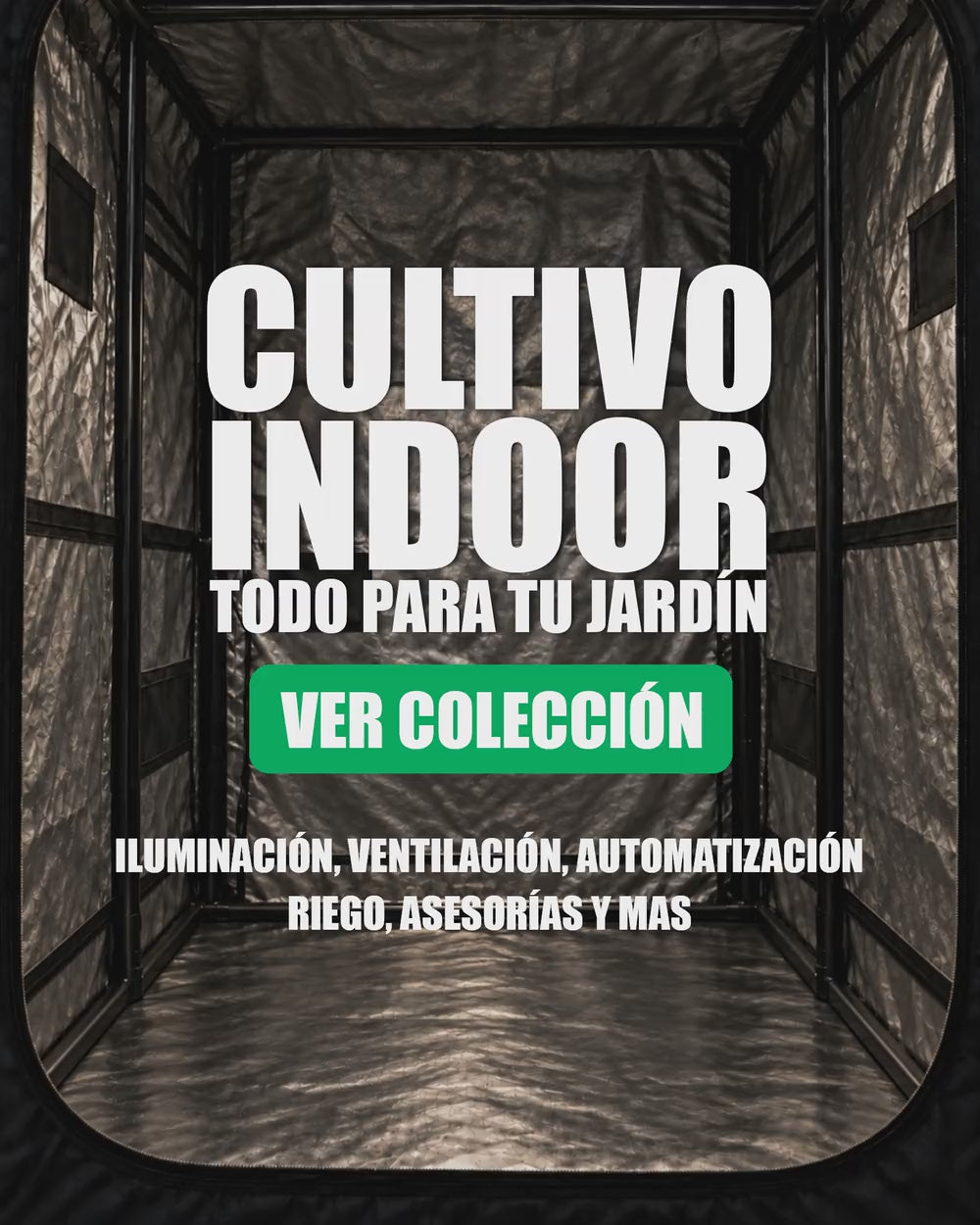 categoria-cultivo-indoor