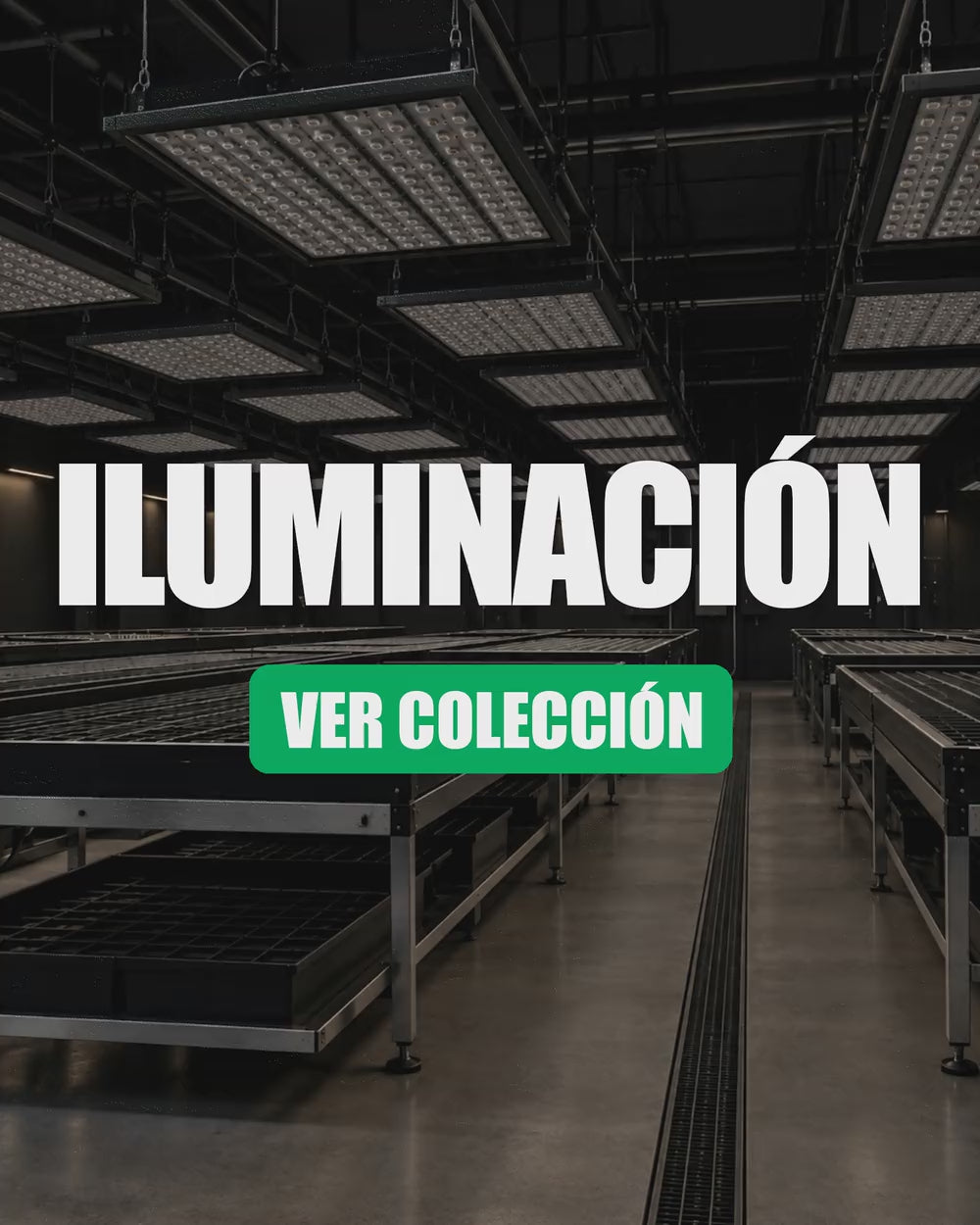 categoria-iluminacion