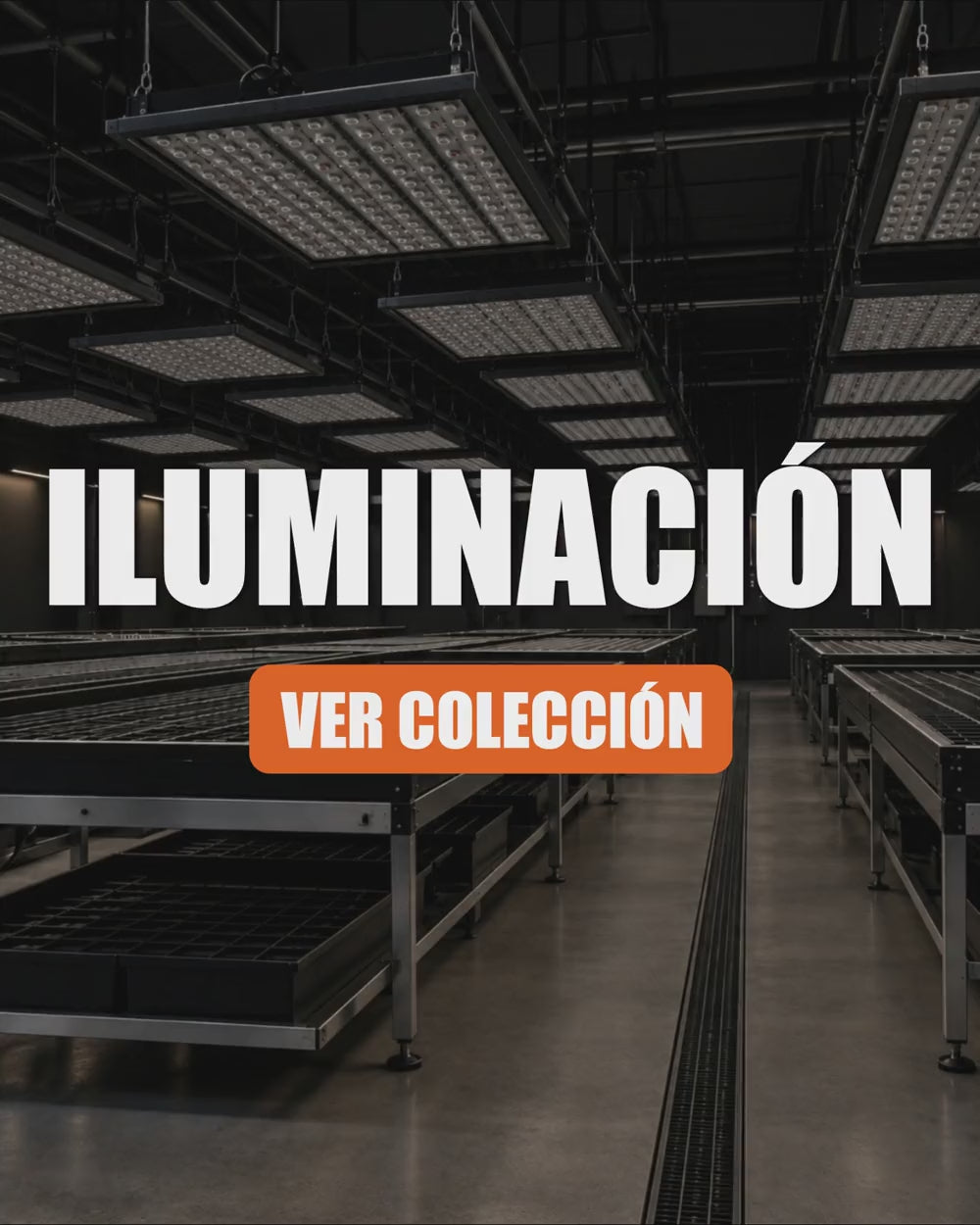 categoria-iluminacion-v2