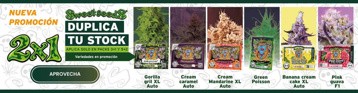 Promoción 2x1 Sweet Seeds: duplica tu stock en packs 3+1 y 5+2