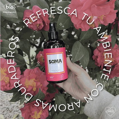 Soma Spray Manzana Bioecological - vista 4