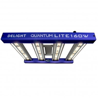 QUANTUM LITE 160W - DELIGHT