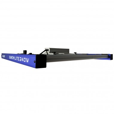 QUANTUM LITE 240W - DELIGHT