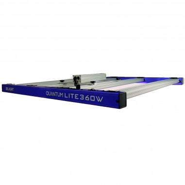 QUANTUM LITE 360W - DELIGHT