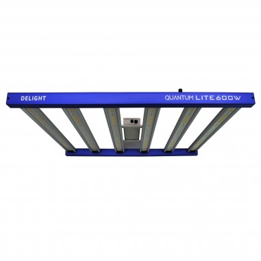 QUANTUM LITE 600W - DELIGHT