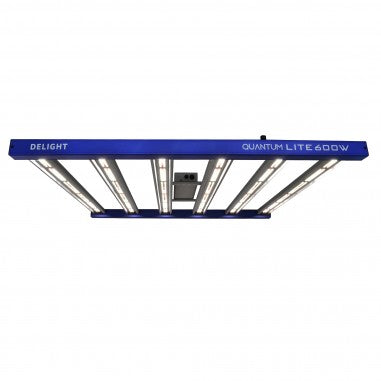 QUANTUM LITE 600W - DELIGHT