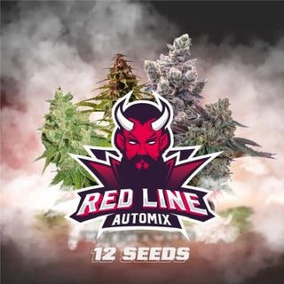 RED LINE AUTO MIX X12 - BSF