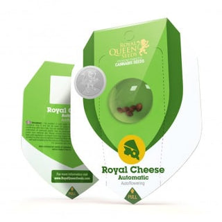 ROYAL CHEESE AUTO X3 - ROYAL QUEEN