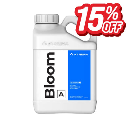 Athena Bloom a 1GAL
