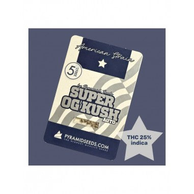SUPER OG KUSH AUTO X50 - PYRAMID SEEDS